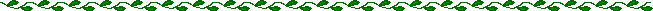 ivy rule